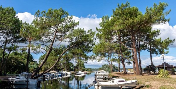 Les avantages d'un séjour au camping 5 étoiles dans les Landes